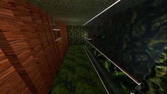 kz_chloroplast