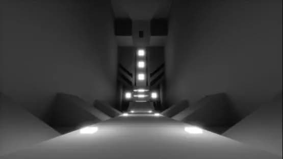 ze_gris_p