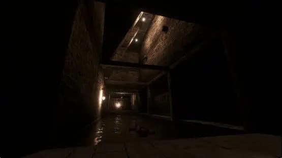 ze_notredame_p