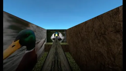 surf_life_of_duck_go