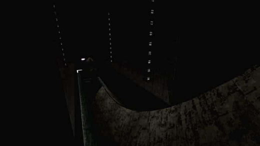 surf_mynah_final