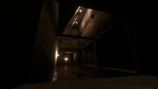 ze_notredame_p